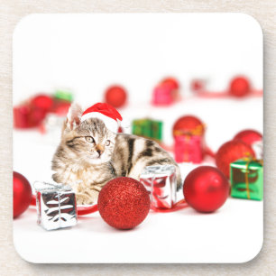 Cat wearing red Santa hat Christmas Ornament Beverage Coaster