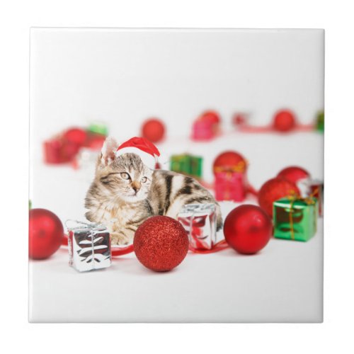 Cat wearing red Santa hat Christmas Ornament Ceramic Tile