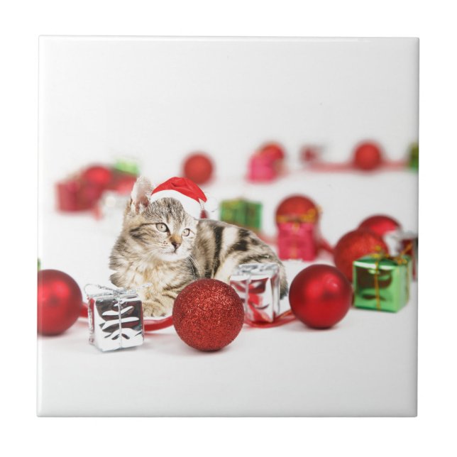 Cat wearing red Santa hat Christmas Ornament Ceramic Tile (Front)