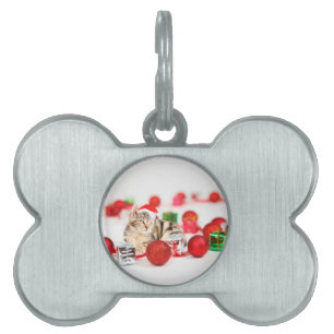 Cat wearing red Santa hat Christmas Ornament Pet ID Tag