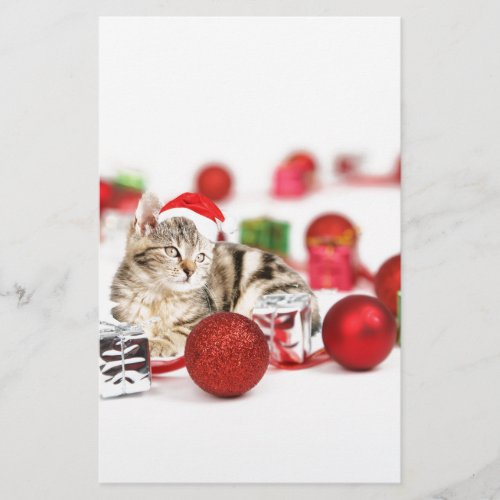 Cat wearing red Santa hat Christmas Ornament Stationery