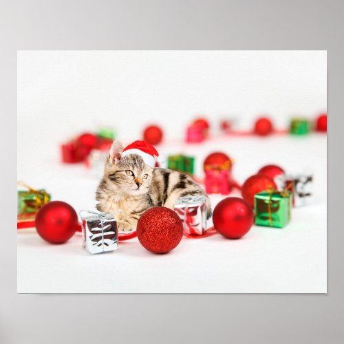 Cat wearing red Santa hat Christmas Poster