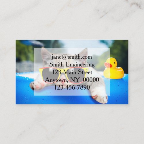 Cat wearing sunglasses relaxing on air mattress business card