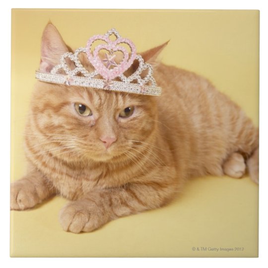 Cat wearing tiara tile