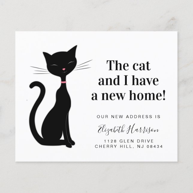 Cat We've Moved New Address Budget Announcement (Front)