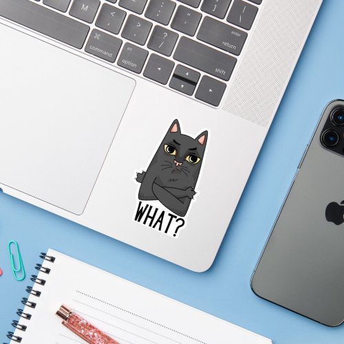 Cat What Cross Arms Sticker