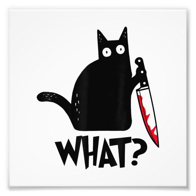 Cat What_ Funny Black Cat  Photo Print (Front)