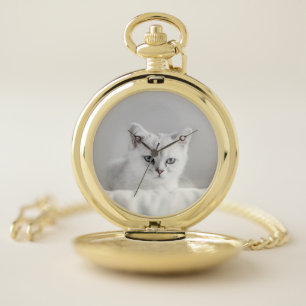 Cat, White, Kitten Pocket Watch