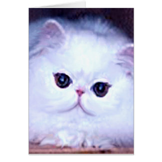 Cat White Persian Kitten Kitty Cards