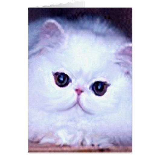 Cat White Persian Kitten Kitty Cards (Front)