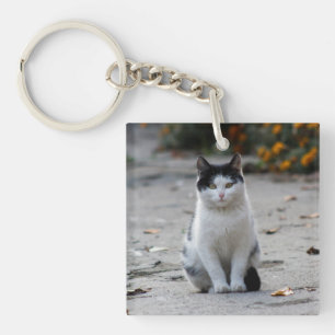 Cat, White, Pet Keychain