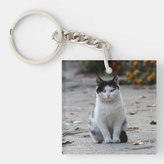 Cat, White, Pet Keychain (Front)