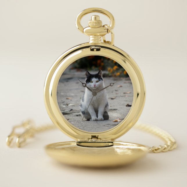Cat, White, Pet Pocket Watch (Inside)