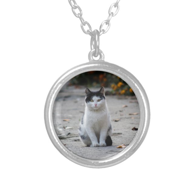 Cat, White, Pet Silver Plated Necklace (Front)