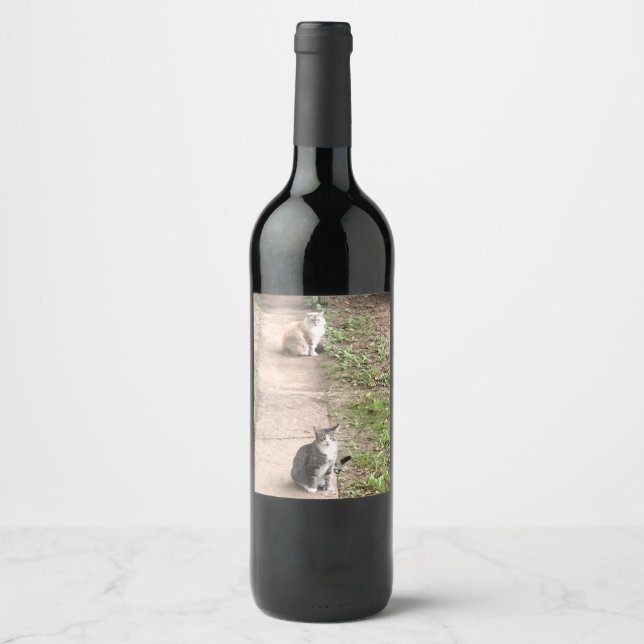Cat Wine Label (Front)