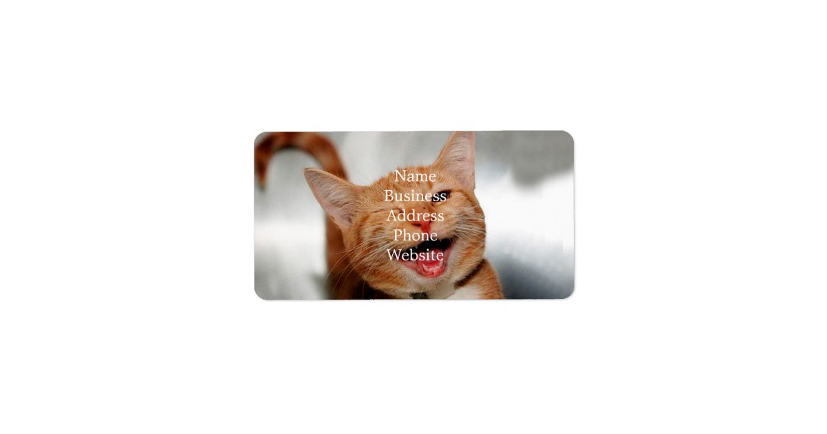Cat winking - orange cat - funny cats - cat smile label | Zazzle Cat winking - orange cat - funny cats - cat smile label | Zazzle