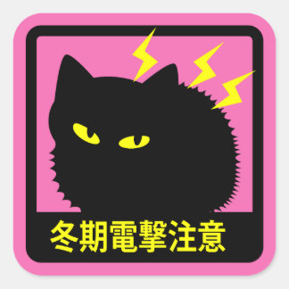 CAT WINTER LIGHTNING WARNING STICKER