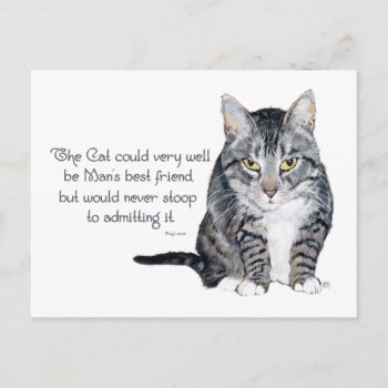 Cat Wisdom - And Friendship Postcard by MaggieRossCats at Zazzle