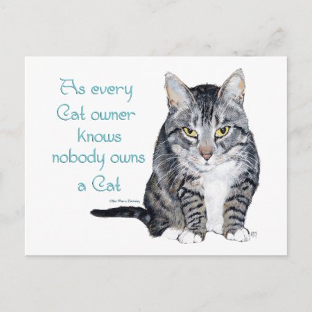 Cat Wisdom - As Every Cat Owner Knows Postcard