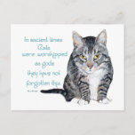 Cat Wisdom - In Ancient Times, Cats Were Postcard at Zazzle