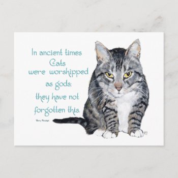Cat Wisdom - In Ancient Times  Cats Were Postcard by MaggieRossCats at Zazzle