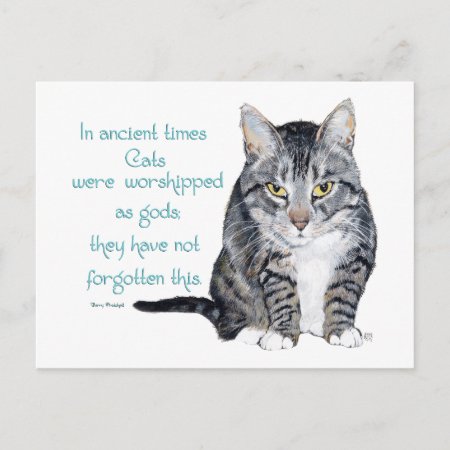Cat Wisdom - In Ancient Times, Cats Were Postcard