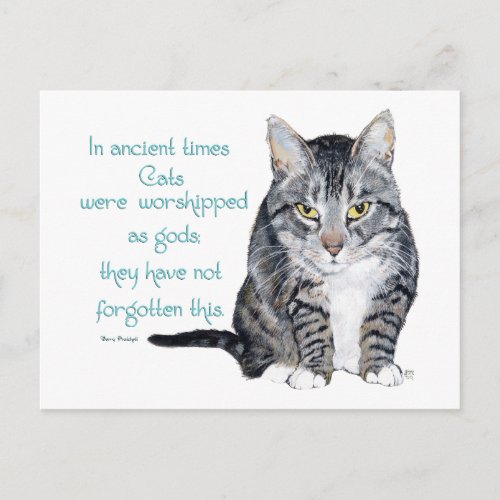 Cat Wisdom _ in ancient times Cats were Postcard