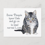 Cat Wisdom - Some People Have Cats Postcard at Zazzle