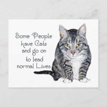 Cat Wisdom - Some People Have Cats Postcard by MaggieRossCats at Zazzle