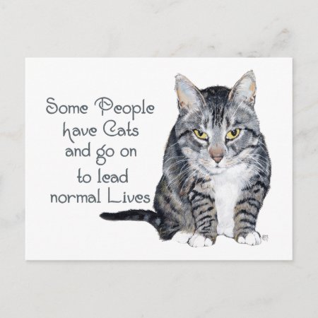 Cat Wisdom - Some People Have Cats Postcard