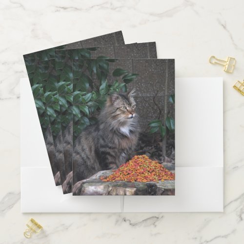 Cat With a Grateful Heart Pocket Folder