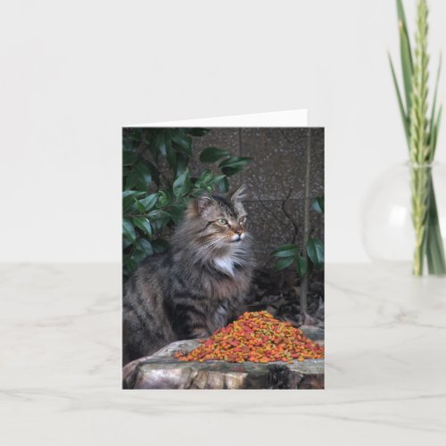 Cat With a Grateful Heart Thank You Note Card