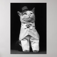 Cat With a Hat, 1906 Posters