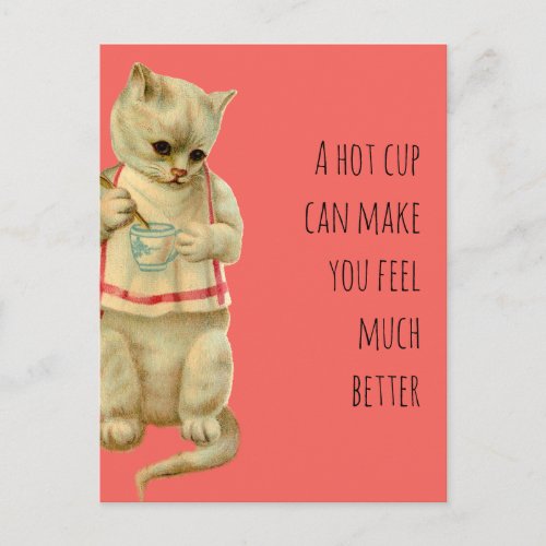 Cat With A Hot Cup Can Make you Feel Better Postcard