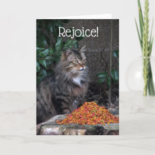 Cat With an Easter Miracle Card