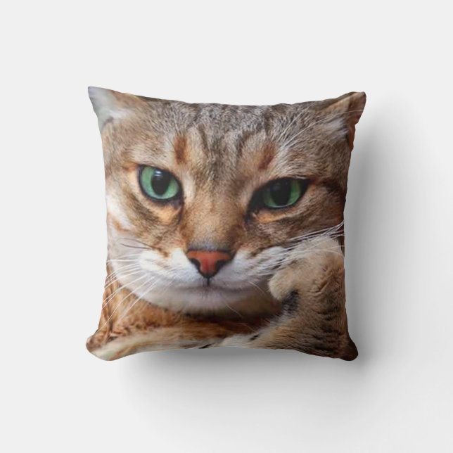 cat with attitude throw pillow (Front)