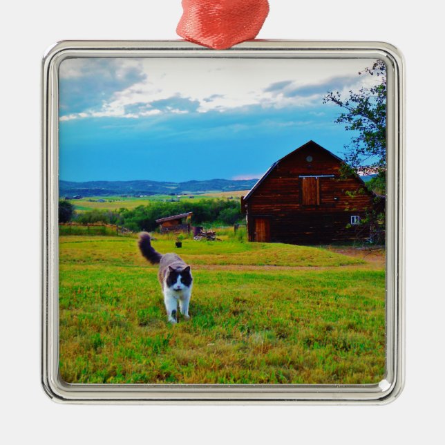 Cat with Barns Metal Ornament (Front)