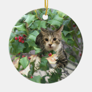 Cat with Berries Holly Ornament