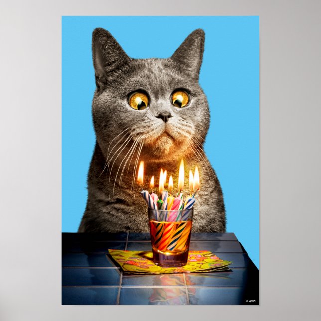 Cat With Birthday Shot Glass Poster (Front)