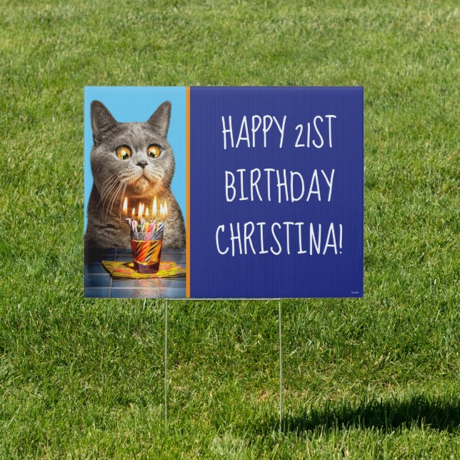 Cat With Birthday Shot Glass Sign (Insitu)