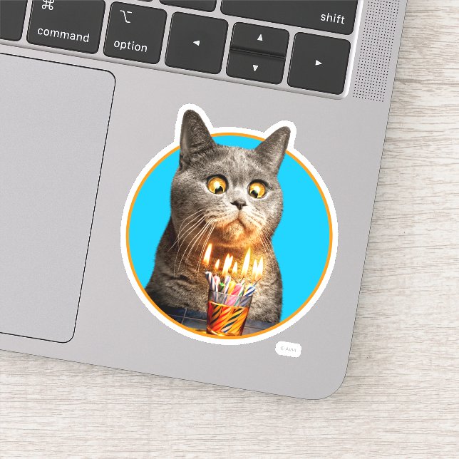 Cat With Birthday Shot Glass Sticker (Detail)