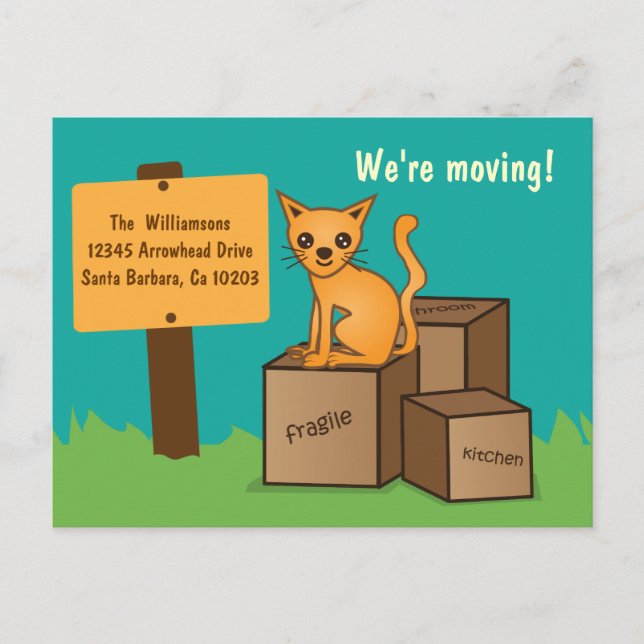 Cat with Boxes - We're Moving Post Card (Front)