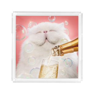 Cat With Champagne Acrylic Tray