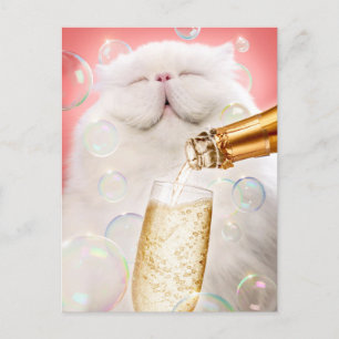 Cat With Champagne Invitation Postcard