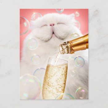 Cat With Champagne Invitation Postcard by AvantiPress at Zazzle