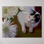 Cat With Chrysanthemums Fine Art Print at Zazzle