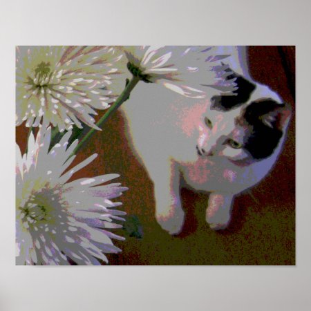 Cat With Chrysanthemums Fine Art Print