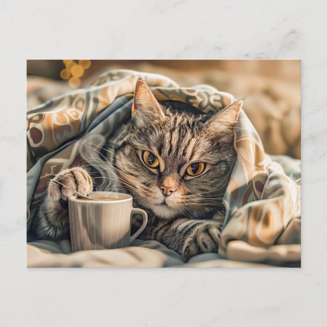 Cat with coffee and book in cozy blanket holiday postcard (Front)