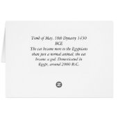 cat with collar cards (Back Horizontal)