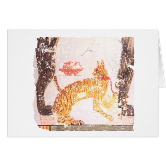 cat with collar cards (Front Horizontal)